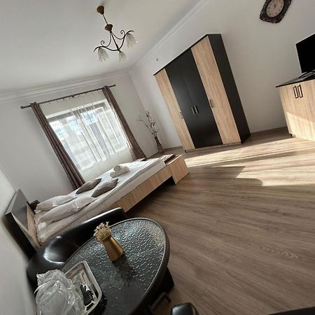 Vila Lion Sebeş المظهر الخارجي الصورة