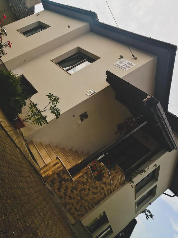 Vila Lion Sebeş المظهر الخارجي الصورة