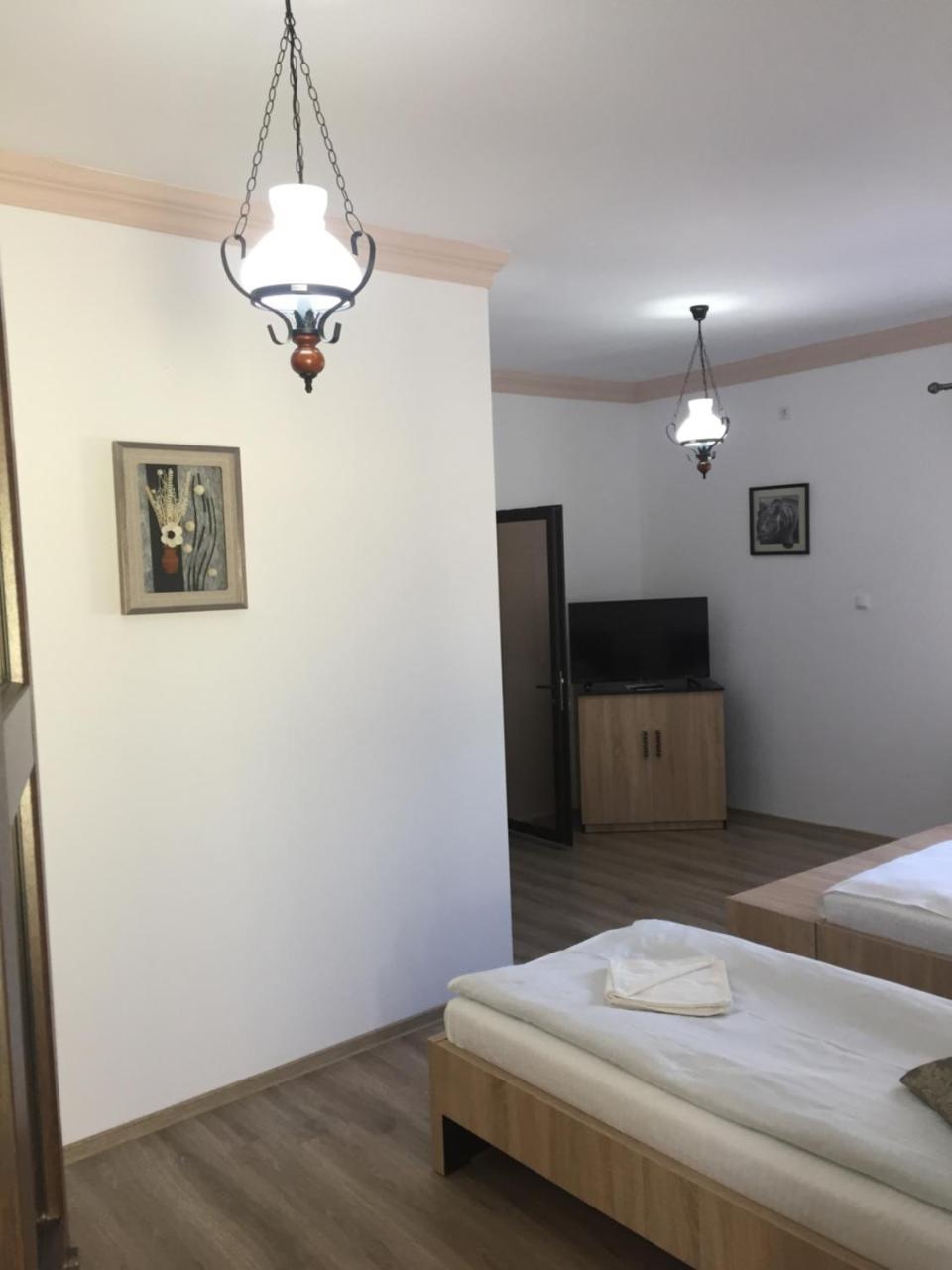 Vila Lion Sebeş المظهر الخارجي الصورة