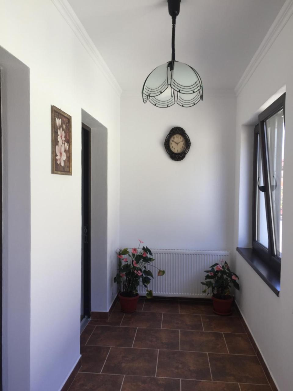 Vila Lion Sebeş المظهر الخارجي الصورة