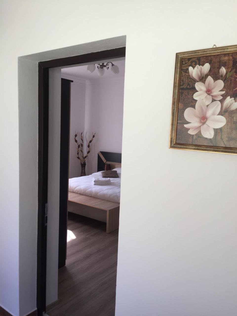 Vila Lion Sebeş المظهر الخارجي الصورة