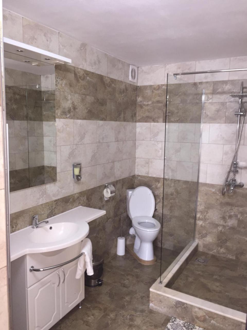 Vila Lion Sebeş المظهر الخارجي الصورة
